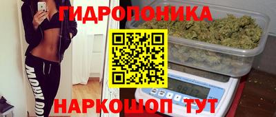 молекула духа Гай