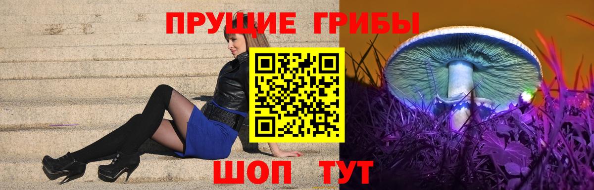 Галлюциногенные грибы Psilocybe Шелехов